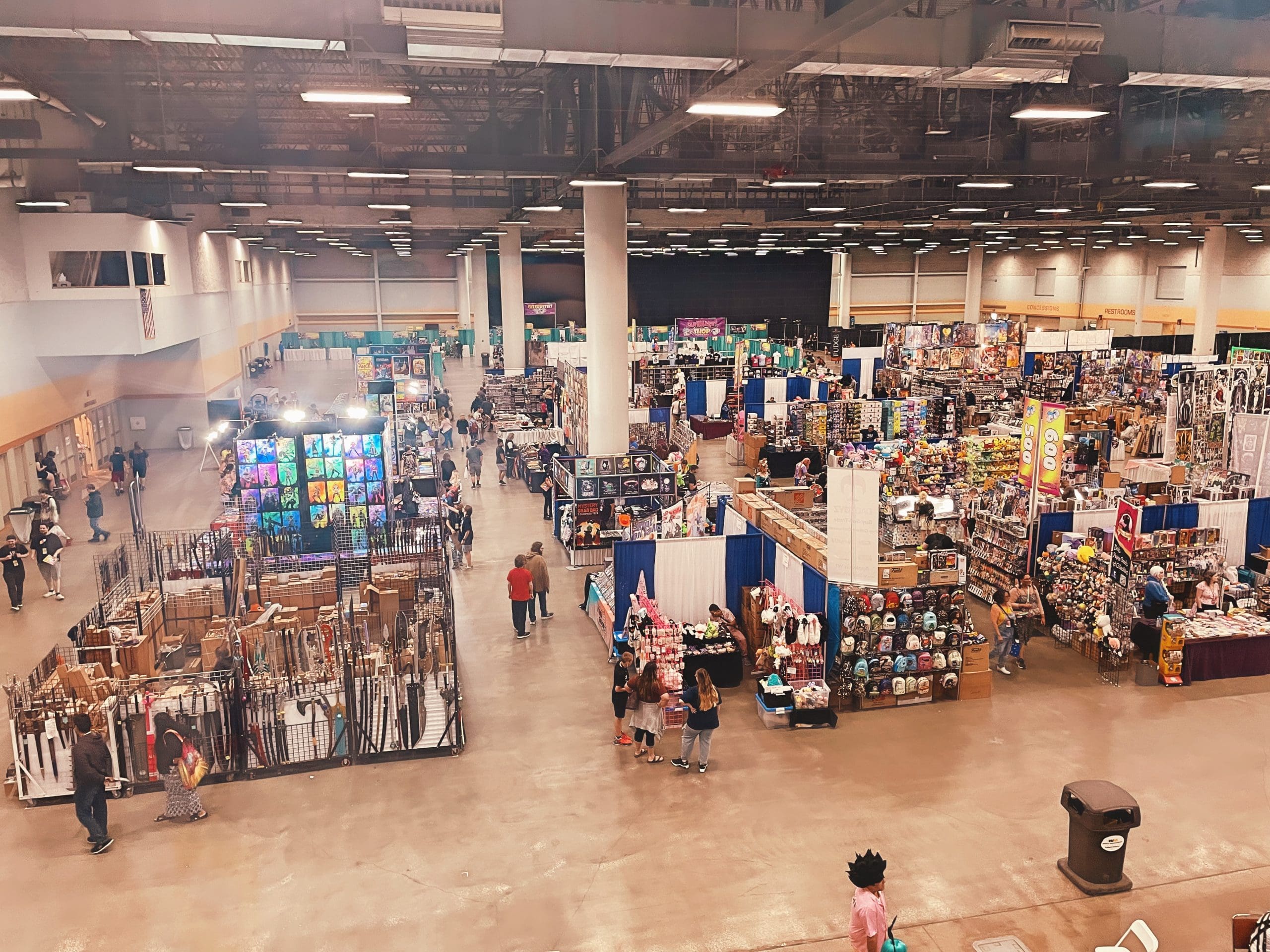 The View From the Skywalk Looking Out Over the Exhibition Hall