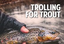 Trolling For Trout | The Black Lincoln Collective Comedy Podcast