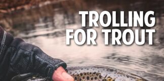 Trolling For Trout | The Black Lincoln Collective Comedy Podcast