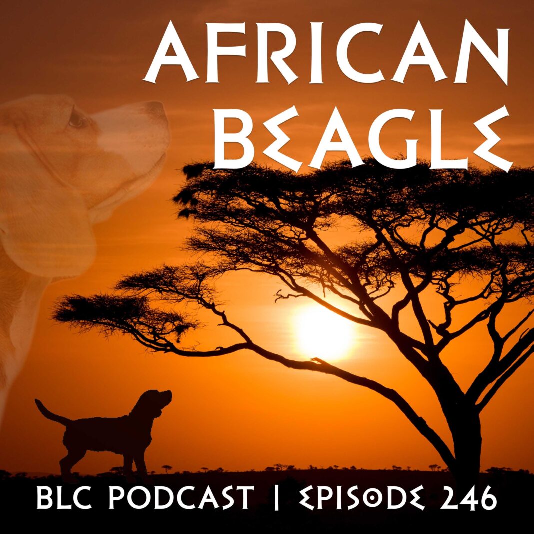 BLC Podcast: African Beagle