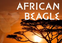 BLC Podcast: African Beagle